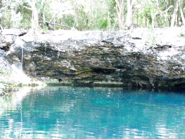 Fresh Water Pool